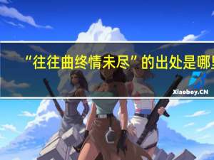 “往往曲终情未尽”的出处是哪里