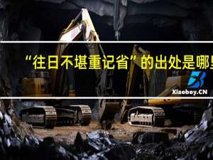 “往日不堪重记省”的出处是哪里