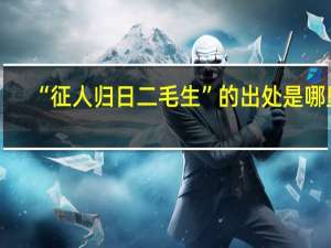 “征人归日二毛生”的出处是哪里
