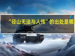 “径山无法与人传”的出处是哪里