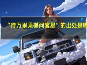 “待万里乘槎问客星”的出处是哪里