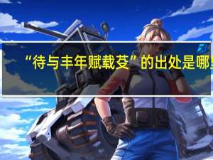 “待与丰年赋载芟”的出处是哪里