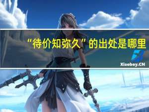 “待价知弥久”的出处是哪里