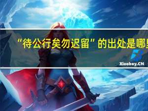 “待公行矣勿迟留”的出处是哪里