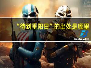 “待到重阳日”的出处是哪里