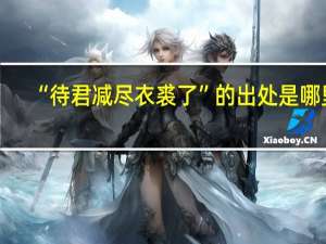“待君减尽衣裘了”的出处是哪里