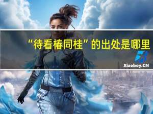 “待看椿同桂”的出处是哪里