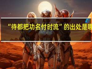 “待都把功名付时流”的出处是哪里