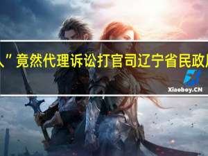 “律师经纪人”竟然代理诉讼打官司 辽宁省民政厅 到底什么情况嘞