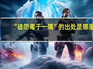 “徒怨毒于一隅”的出处是哪里