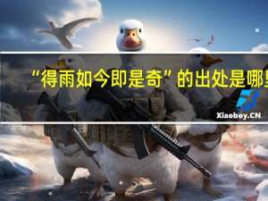 “得雨如今即是奇”的出处是哪里