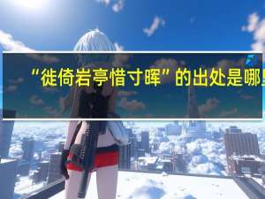 “徙倚岩亭惜寸晖”的出处是哪里
