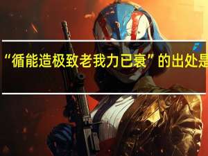 “循能造极致老我力已衰”的出处是哪里