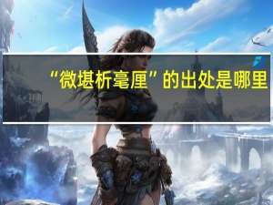 “微堪析毫厘”的出处是哪里