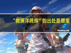 “微澜洋残辉”的出处是哪里