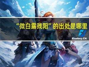 “微白露残阳”的出处是哪里