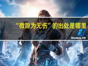 “微隙为无伤”的出处是哪里