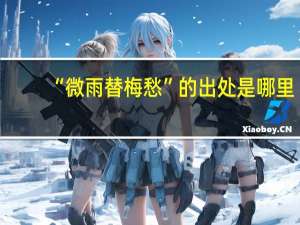 “微雨替梅愁”的出处是哪里