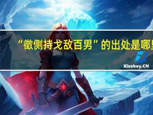 “徵侧持戈敌百男”的出处是哪里