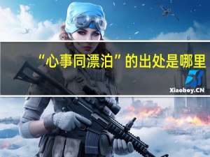 “心事同漂泊”的出处是哪里