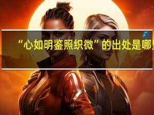 “心如明鉴照织微”的出处是哪里