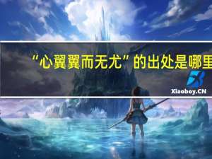 “心翼翼而无尤”的出处是哪里