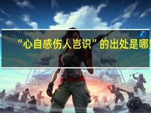 “心自感伤人岂识”的出处是哪里