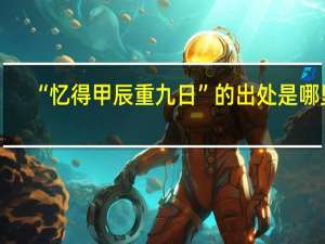 “忆得甲辰重九日”的出处是哪里