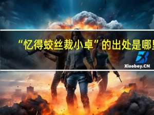 “忆得蛟丝裁小卓”的出处是哪里