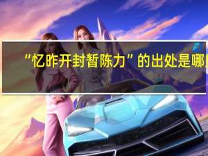 “忆昨开封暂陈力”的出处是哪里