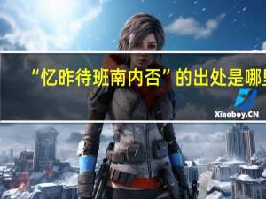 “忆昨待班南内否”的出处是哪里