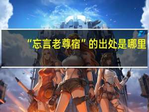 “忘言老尊宿”的出处是哪里