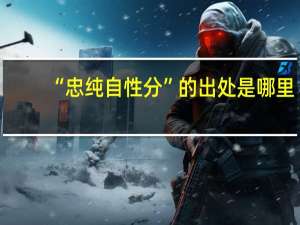 “忠纯自性分”的出处是哪里