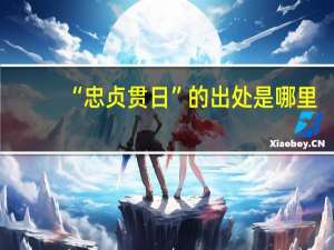 “忠贞贯日”的出处是哪里