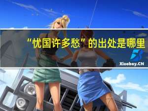 “忧国许多愁”的出处是哪里