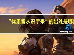 “忧患皆从识字来”的出处是哪里