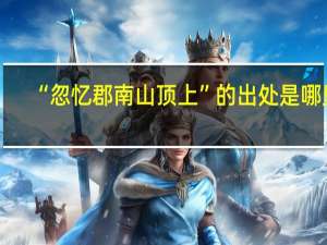 “忽忆郡南山顶上”的出处是哪里