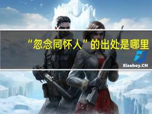 “忽念同怀人”的出处是哪里