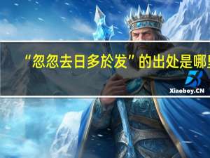 “忽忽去日多於发”的出处是哪里