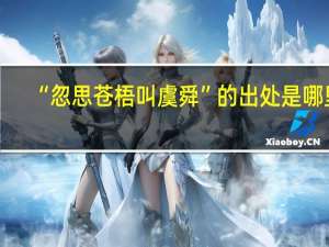 “忽思苍梧叫虞舜”的出处是哪里