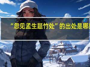 “忽见孟生题竹处”的出处是哪里