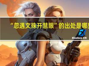 “忽遇文殊开慧眼”的出处是哪里