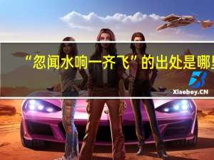 “忽闻水响一齐飞”的出处是哪里