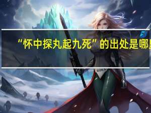 “怀中探丸起九死”的出处是哪里