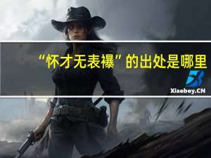 “怀才无表襮”的出处是哪里