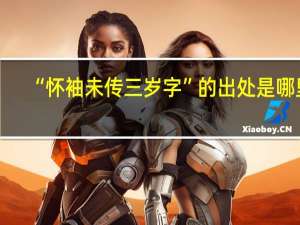“怀袖未传三岁字”的出处是哪里
