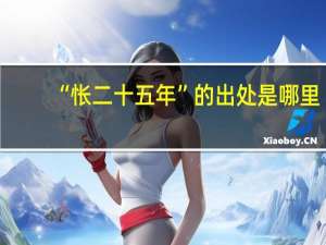 “怅二十五年”的出处是哪里