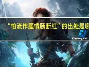 “怕流作题情肠断红”的出处是哪里