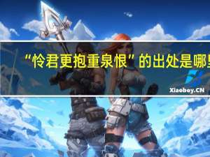 “怜君更抱重泉恨”的出处是哪里
