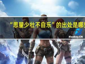 “思量少壮不自乐”的出处是哪里
